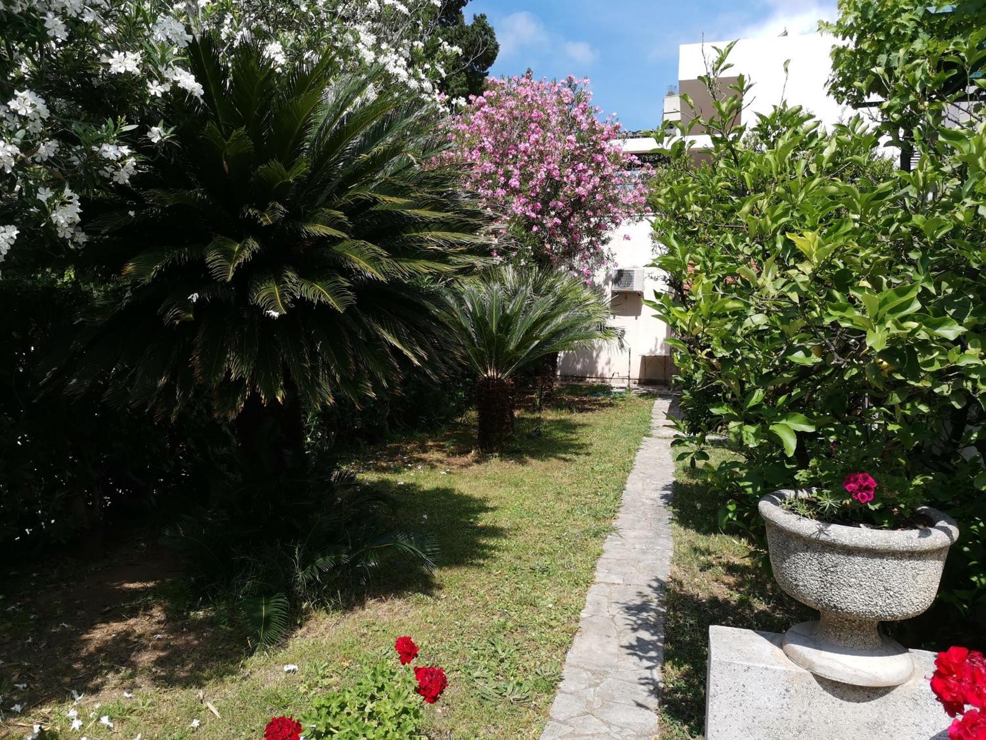 Apartments Maris Garden Petrovac Eksteriør billede