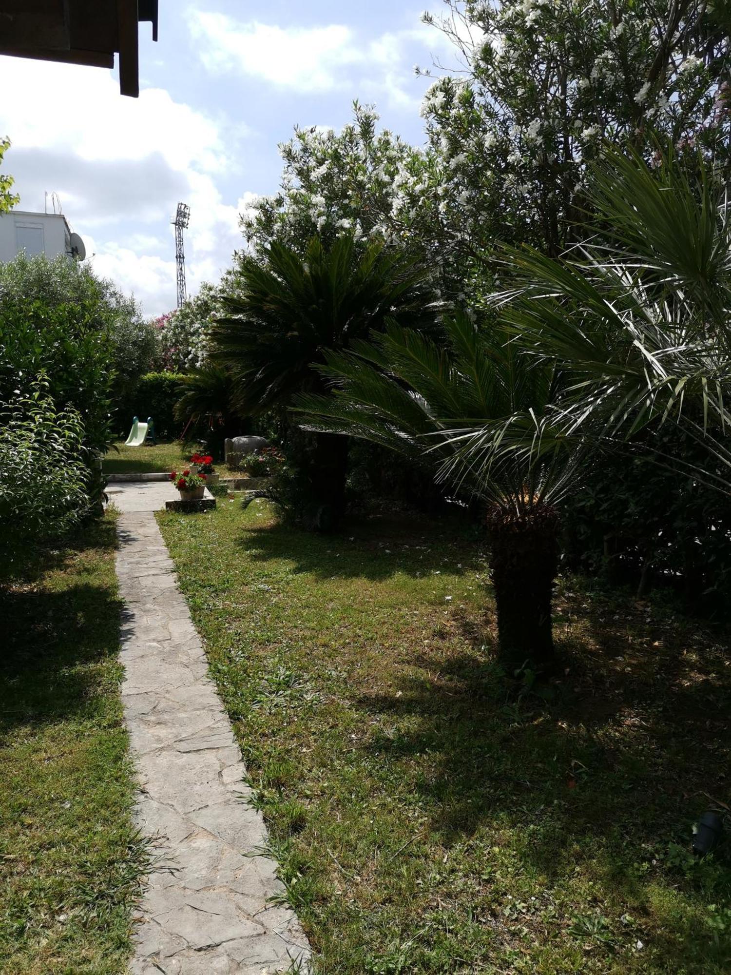 Apartments Maris Garden Petrovac Eksteriør billede