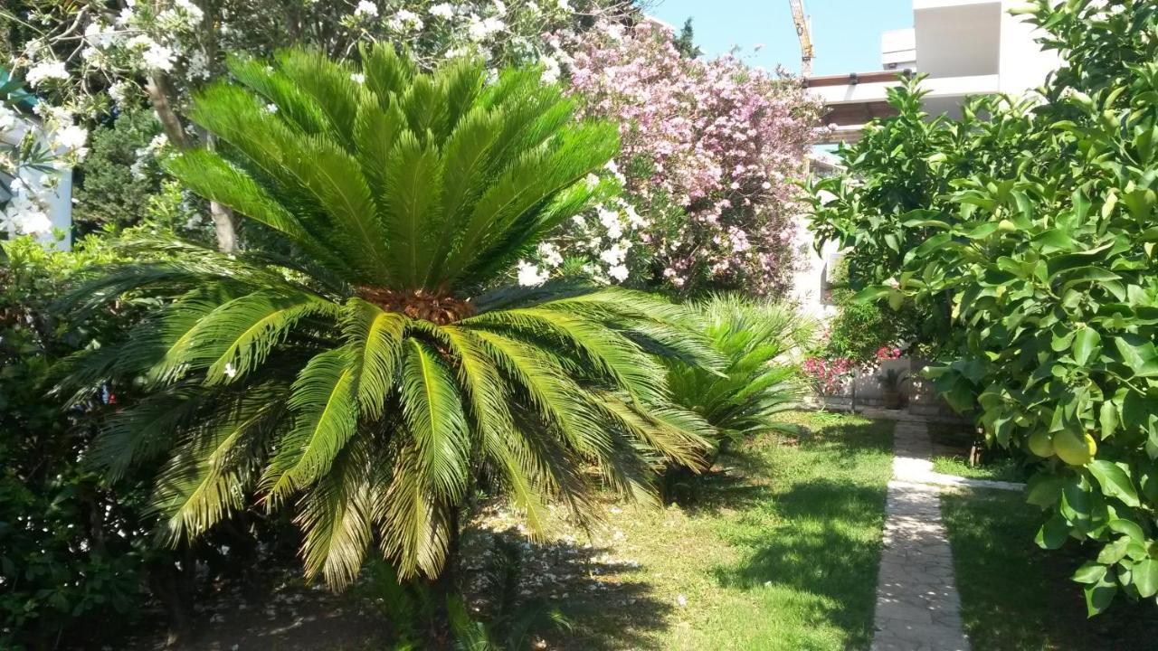 Apartments Maris Garden Petrovac Eksteriør billede